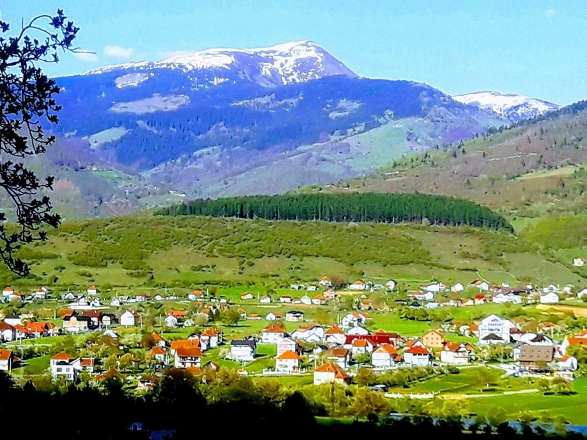 Apartmani Ambiente Plav Buitenkant foto